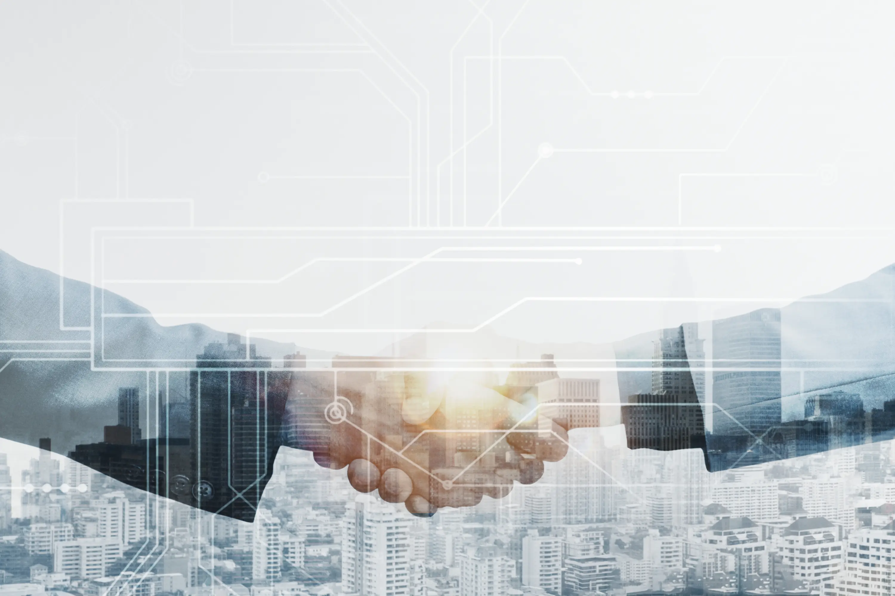 Understanding Corporate Structures